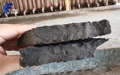 為什么污泥壓濾機(jī)壓不干且稀，還粘濾布？-青島仕駿