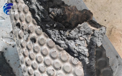 解決帶式機(jī)壓泥脫水難題實現(xiàn)污泥深度脫水-青島仕駿