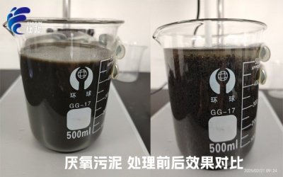 污泥增效劑：激活厭氧污泥潛能，重塑資源化新格局-青島仕駿