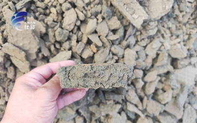 市政污泥處理：選對藥劑很關(guān)鍵-青島仕駿